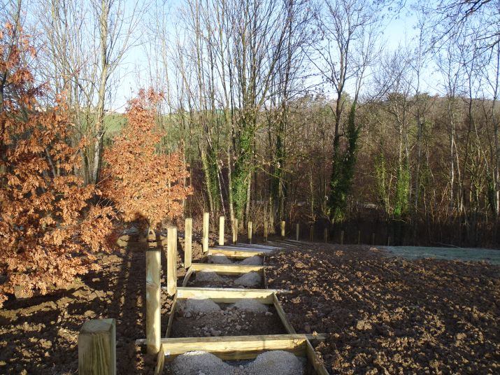 60209 hurongues (29)