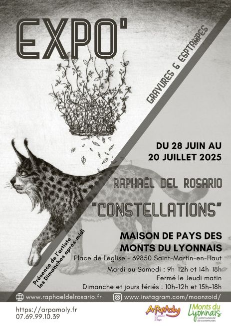 affiche raphael del rosario.jpg