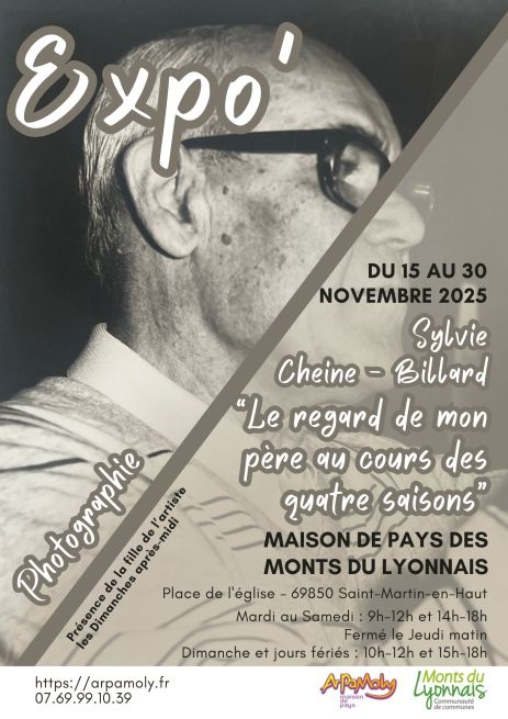 affiche sylvie cheine billard.jpg
