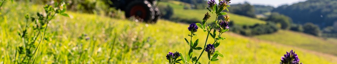 cccmdl agriculture 12