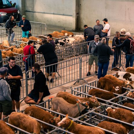 cccmdl agriculture 48