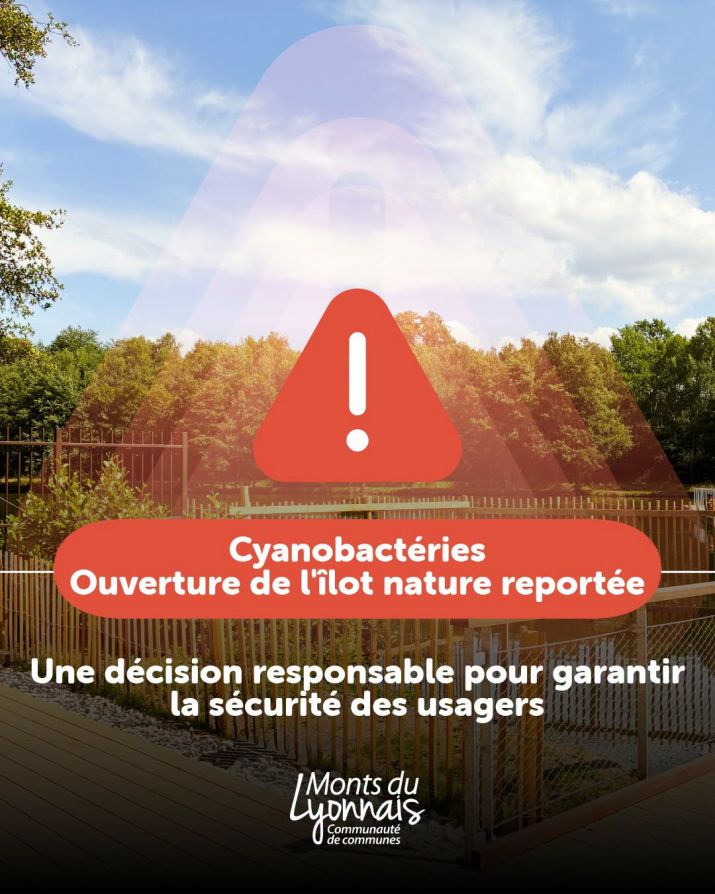 cyanobactéries hurongues