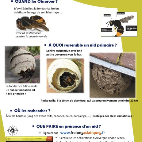 fiche technique nid primaire