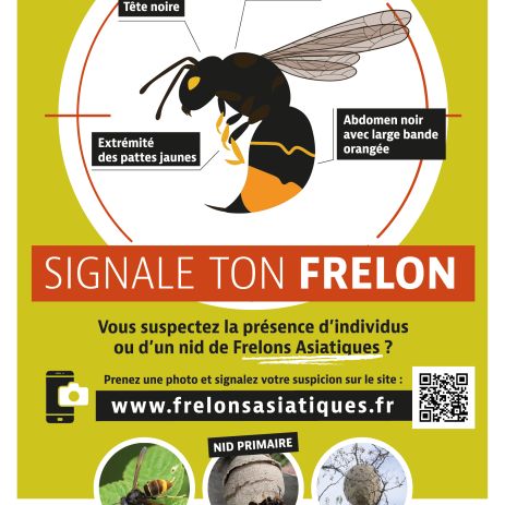 flyers 148x210mm www.frelonsasiatiques.fr 2023 01