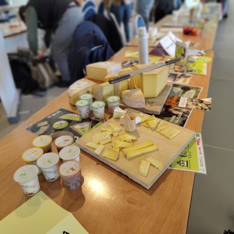 img 20260304 145713666