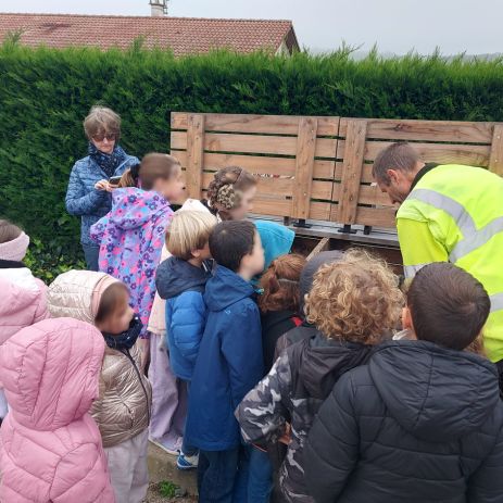 maringes compostage 2025 1