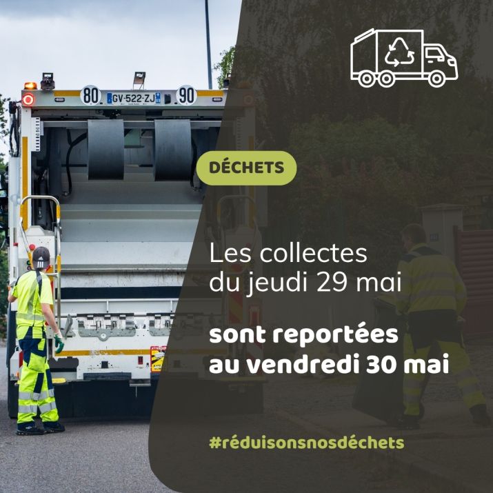 report déchets