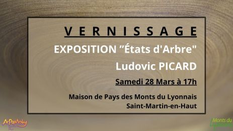 vernissage ludovic picard.jpg